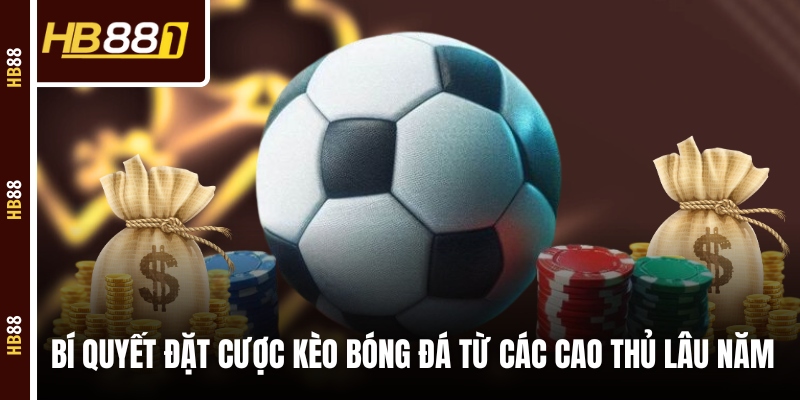 keo bong da truc tuyen bi quyet Bí quyết đặt cược kèo bóng đá từ các cao thủ lâu năm