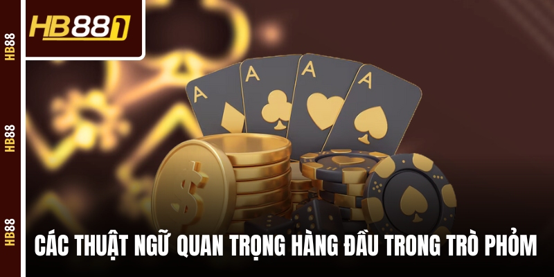 Các thuật ngữ quan trọng hàng đầu trong trò Phỏm Các thuật ngữ quan trọng hàng đầu trong trò Phỏm