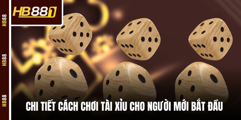 Chi tiết cách chơi tài xỉu cho người mới bắt đầu Chi tiết cách chơi tài xỉu cho người mới bắt đầu