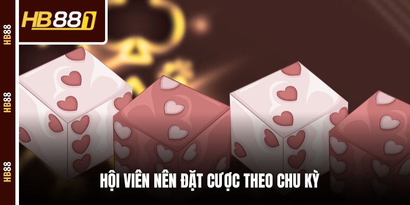Hội viên nên đặt cược theo chu kỳ Hội viên nên đặt cược theo chu kỳ