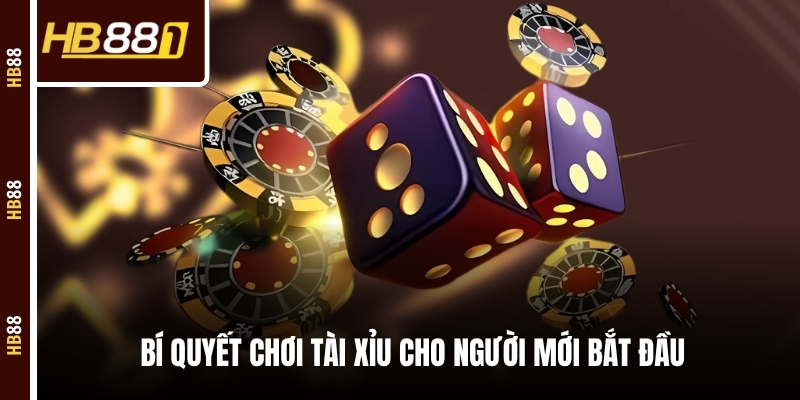 Bí quyết chơi tài xỉu cho người mới bắt đầu Bí quyết chơi tài xỉu cho người mới bắt đầu